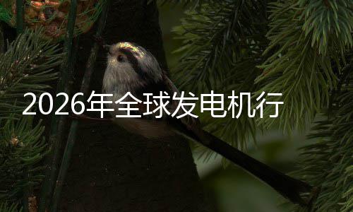 年全内外领电机业国行业先企规模名份额及排球发市场市场